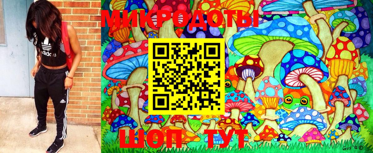 Псилоцибиновые грибы Psilocybine cubensis Ревда