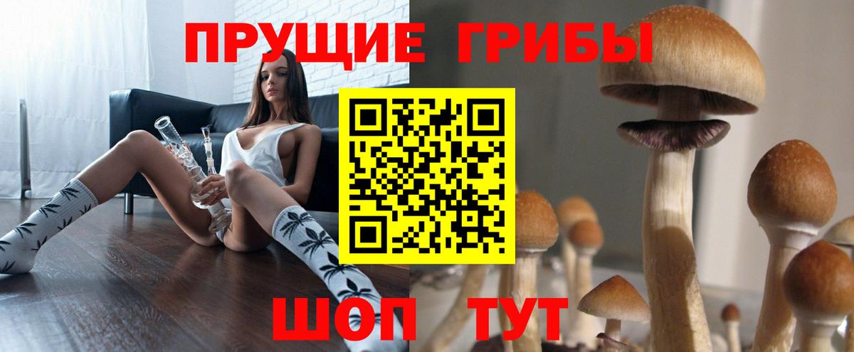 Псилоцибиновые грибы GOLDEN TEACHER  Вход с VPN  Ревда 